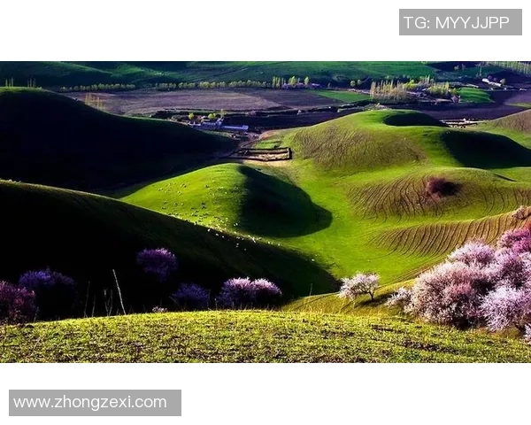 足球明星晋美的成长历程与辉煌成就全景解析 足球明星晋美的成长历程与辉煌成就全景解析